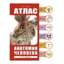 Атлас анатомии человека