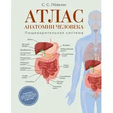 Книга АСТ Атлас анатомии человека. Пищеварительная система (Левкин Сергей 9785171788513)