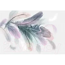 Фотообои листовые Vimala Векторные перья (270x400)