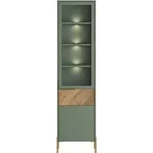 Шкаф-витрина Black Red White Siena с подсветкой REG1W1D1S (дымчатый зеленый/дуб вотан)