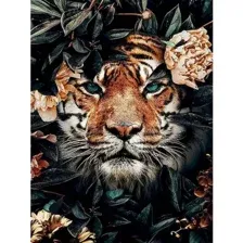 Картина по номерам Sundays Art JH048