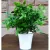 Искусственное растение ForGarden Традесканция / BN10600