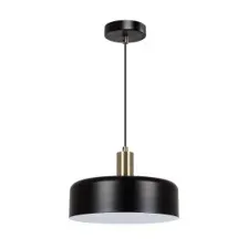 Светильник подвесной ARTE LAMP A7052SP-1BK