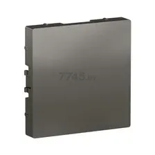 Декоративная заглушка SYSTEME (SCHNEIDER) ELECTRIC AtlasDesign сталь (ATN000909)