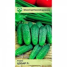 Огурец Цезарь F1 0.6г семена.
