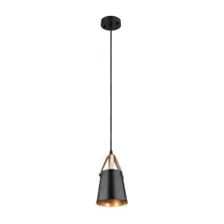 Светильник Arte Lamp Thomas A7032SP-1BK