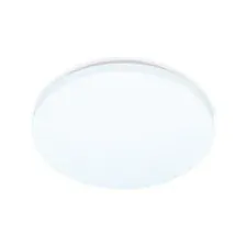 Потолочный светодиодный светильник Ambrella Light FZ1009 WH