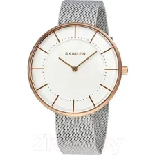 Часы наручные женские Skagen SKW2583