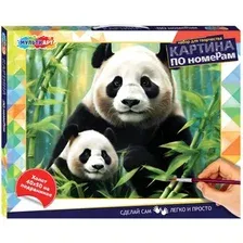 Картина по номерам MultiArt CANV40X50-115972