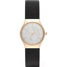 Часы наручные женские Skagen SKW2209