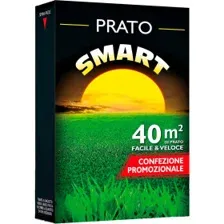 Семена газонной травы Franchi Sementi Смарт, 1кг