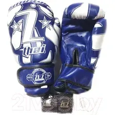 Набор для бокса детский ZEZ Sport Z-THAI-2-OZ