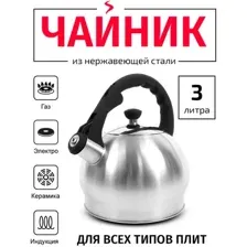Чайник со свистком TimA WTK196