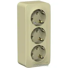 Розетка Schneider Electric BLNRA010317