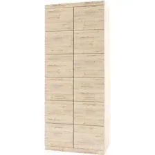 Шкаф Anrex Oskar 2DG (дуб санремо)