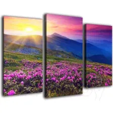 Модульная картина Arthata m-000339 75x50