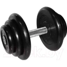 Гантель MB Barbell Профи, 18.5кг