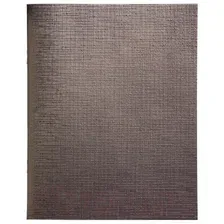Тетрадь Hatber Metallic / 96Т5бвВ1 (96л, коричневый)