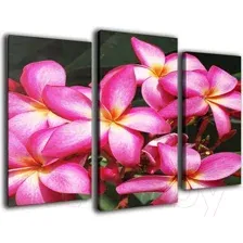 Картина модульная Arthata m-000223 (75x50)
