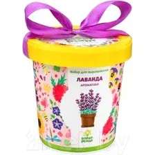 Набор для выращивания растений Happy Plant Лаванда ароматная / hpn-15