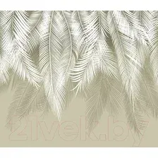 Фотообои Citydecor Пальмовые листья 2 300x260 (олива)