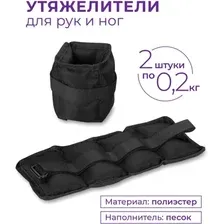 Комплект утяжелителей Indigo Классика SM-148 (2x0.2 кг, черный)