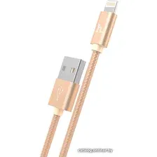 Кабель Hoco X2 Lightning (1 м, золотистый)