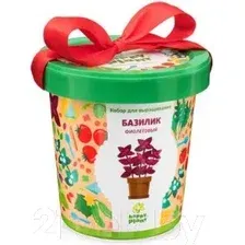 Набор для выращивания растений Happy Plant Базилик фиолетовый / hpn-5