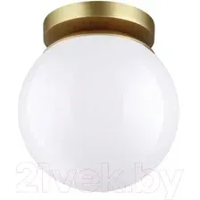 Светильник уличный Odeon Light Bosco 4247/1C