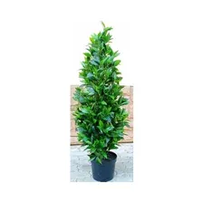 Искусственное растение FORGARDEN Лавр Bay leaf tower 120 см (FGN_BF01696)