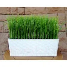 Искусственное растение ForGarden FGK27 / BN10710