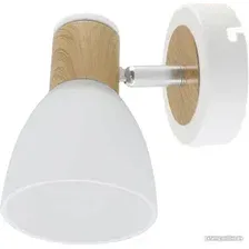 Спот TDM SQ0356-0001