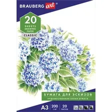 Набор бумаги для рисования BRAUBERG Art Classic 129224 (20 л)