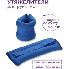 Комплект утяжелителей Indigo SM-261 (синий)
