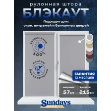 Рулонные шторы Sundays Home LM 168-07 57x215 (серый)