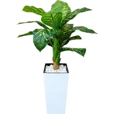 Искусственное растение ForGarden Диффенбахия пестролистная BN11132