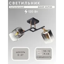 Спот Aitin Pro НПБ 02-2x60-101 N6647/2 (черный/золото)
