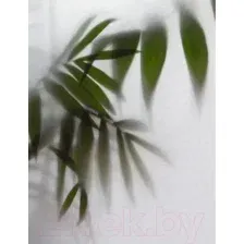Фотообои листовые Citydecor Цветы и Растения 158 (200x260см)