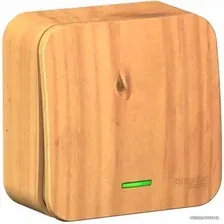 Выключатель Schneider Electric Blanca BLNVA101115