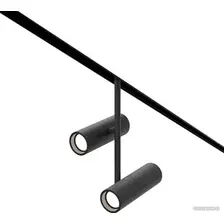 Трековый светильник Maytoni Elti Duo TR005-2-2X12W3K-B