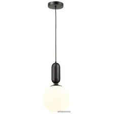 Подвесная люстра Odeon Light Okia 4668/1