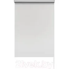 Рулонные шторы Эскар Вlackout 210x160 814652101601 (белый)