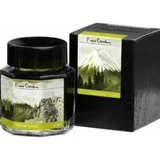 Чернила для перьевой ручки Pierre Cardin City Fantasy PC332-M5 (15 мл, зеленый хаяо)