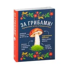 За грибами. Карманный атлас-определитель