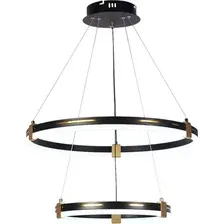 Светильник Aitin Pro D6043/2 (черный/золото)