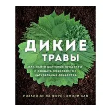 Дикие травы: как найти целебные продукты и создать собственные натуральные лекарства
