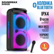 SOUNDMAX SM-MS4209