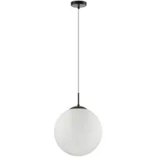 Подвесная люстра Lumion Summer 6510/1A