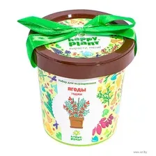 Набор для выращивания растений Happy Plant Ягоды Годжи / hpn-18