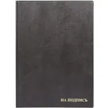 Папка ДПС На подпись, 2032.НИ-207, черный